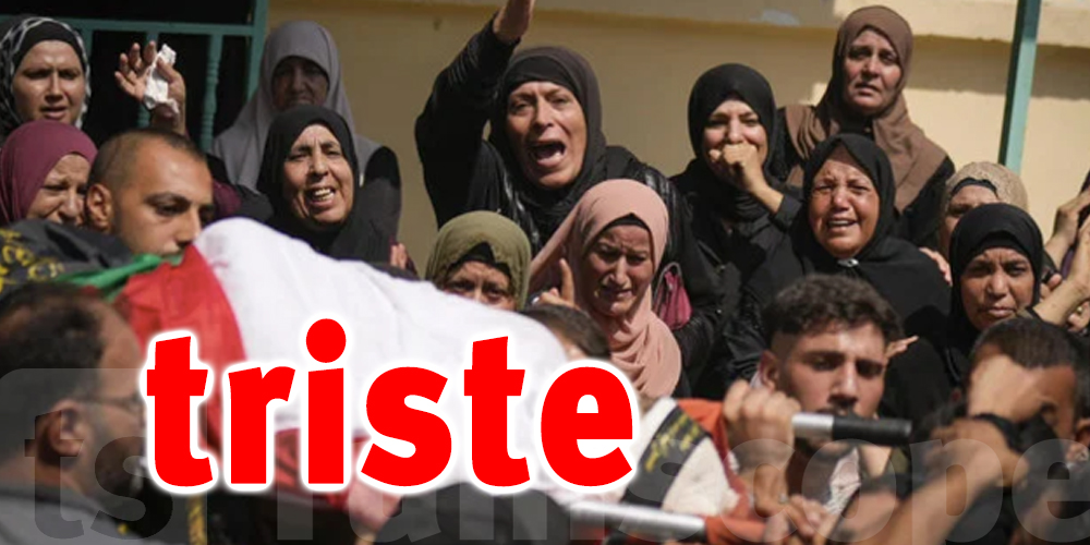 Trois Palestiniens tués dans un raid israélien