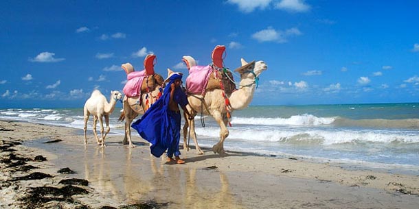 Le SG des voyagistes français :Les prix des voyages que nous proposions en Tunisie, on ne les retrouve nulle part ailleurs