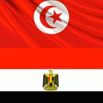 مصر تطالب رعاياها في طرابلس بالتوجه إلى حدود تونس