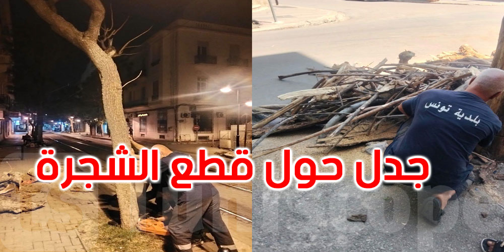 بعد تداول فيديو إزالتها.. بلدية تونس تكشف أسباب قطع الشجرة... التفاصيل