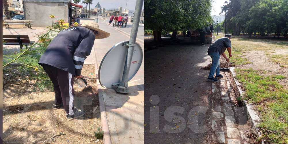 من السيجومي إلى الحفصية... برنامج صيانة شامل للحدائق والمساحات الخضراء
