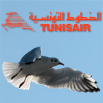 Tunisair : Des mouettes font faire demi tour à un avion