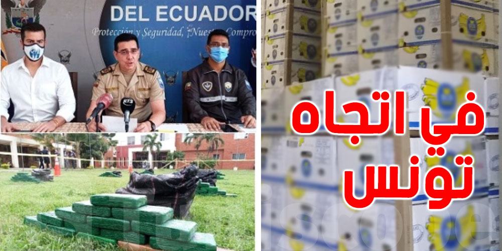 متجهة إلى تونس: حجز أكثر من نصف طن من ''الكوكايين'' في صناديق موز 