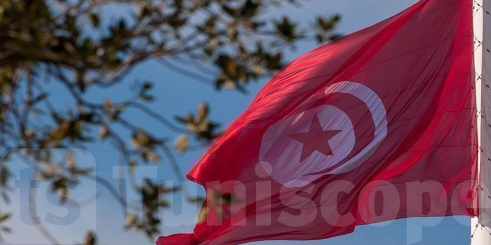 تونس تؤكّد التزامها التام بضمان الحق في حرية الرأي والتعبير