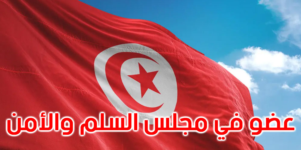 انتخاب تونس عضوا في مجلس السّلم والأمن الإفريقي