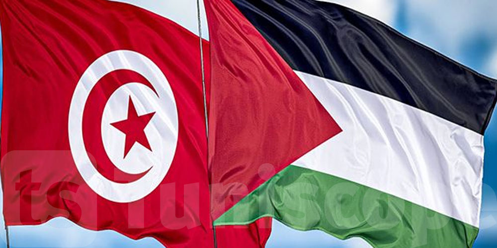 تونس تطالب مجلس الأمن بالوقف الفوري لجرائم الحرب في فلسطين