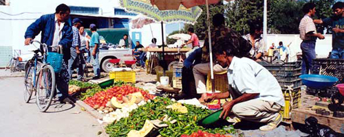 tunisie-100713-v.jpg