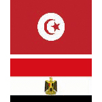 Mesures urgentes pour assurer le rapatriement des Tunisiens d'Egypte