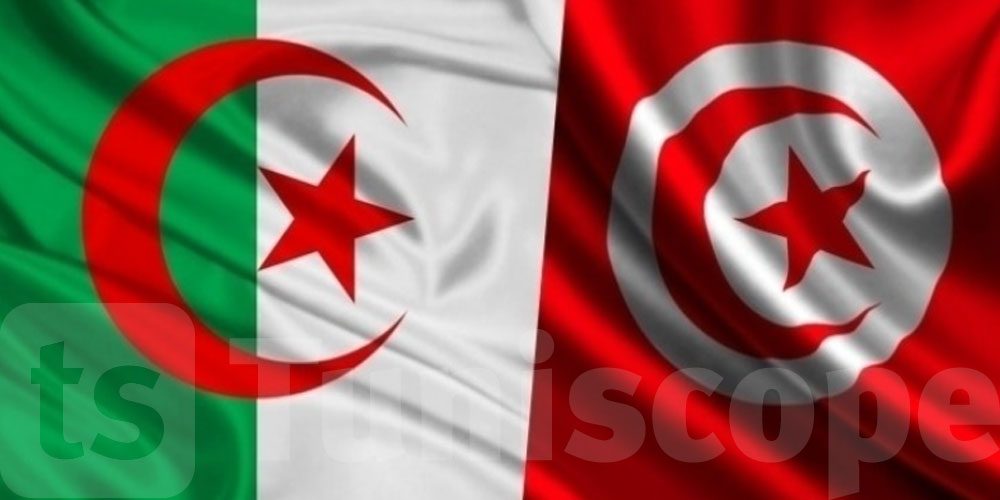  وزير الخارجية الجزائري يؤدي غدا زيارة إلى تونس