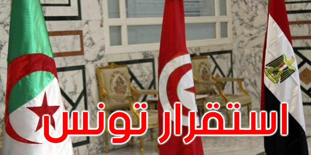 مصر والجزائر تتفقان على دعم استقرار تونس وإنفاذ اختيارات شعبها