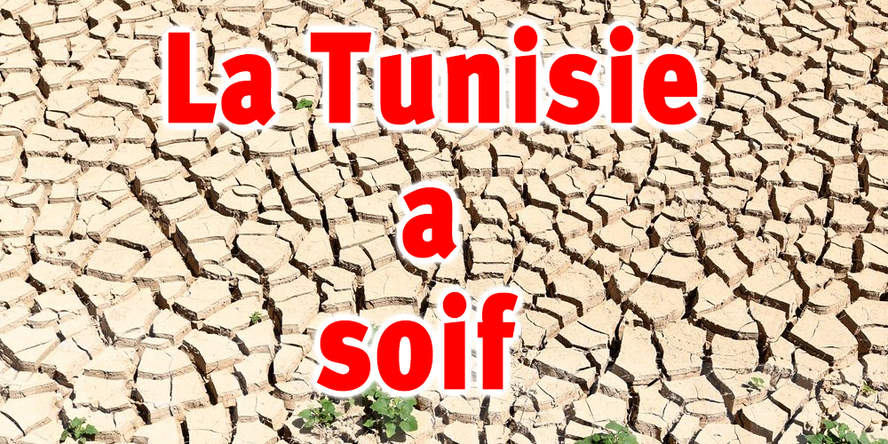 Tunisie : Les dernières pluies sont-elles bénéfiques ? 