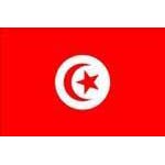 Tounsi ou Tunisien ?