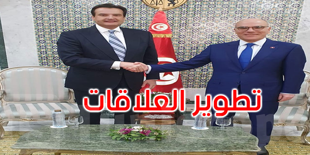 العلاقات التونسية التركية محور لقاء نبيل عمار بالسفير التركي