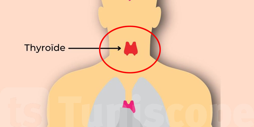 Signes cachés pouvant indiquer une hypothyroïdie