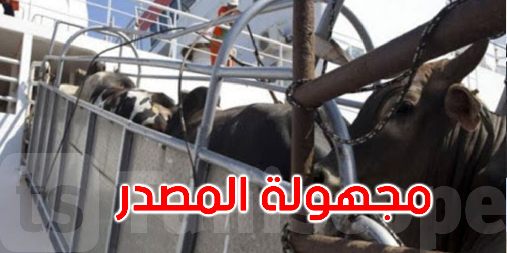 بنزرت..رفض رسو باخرة محملة بابقار يشتبه في اصابتها بمرض