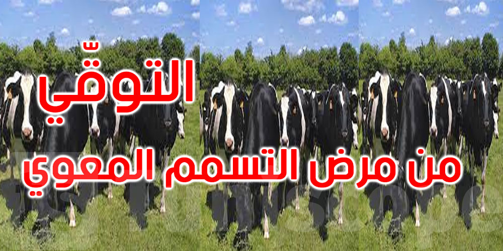 للتوقي من مرض ‘بومريرة’: وزارة الفلاحة تدعو مربي الأبقار والمواشي لاتخاذ هذه الإجراءات