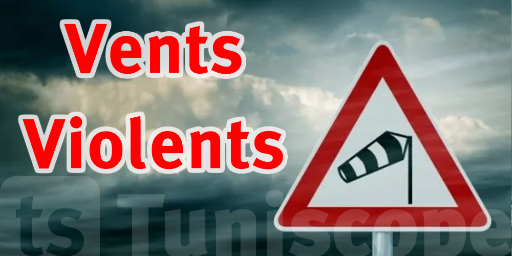 Kairouan Région paralysée par les vents violents