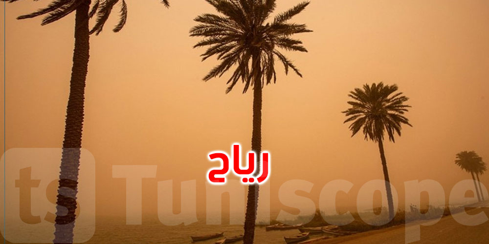 طقس الليلة: رياح قوية مع دواوير رملية بالجنوب