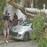 En photos : Des dégâts à Salambo, Ezzahra et Bardo à cause du vent