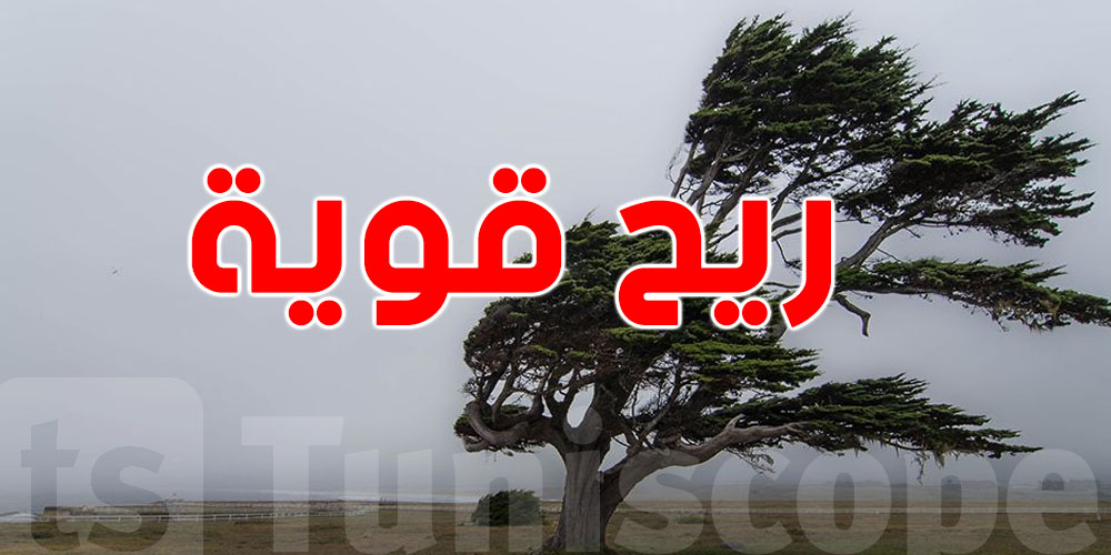 عاجل : رياح قوية غدوة السبت ...لازمك تشوف حالة الطقس