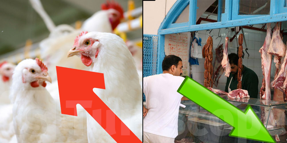 الأسوام في رمضان : تراجع أسعار اللحوم و ''إشتعال'' أسعار الدجاج والبيض