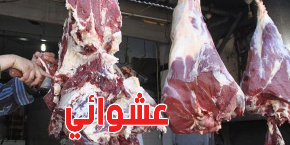 نابل.. حجز 800 كلغ من اللحوم الحمراء في مخزن عشوائي