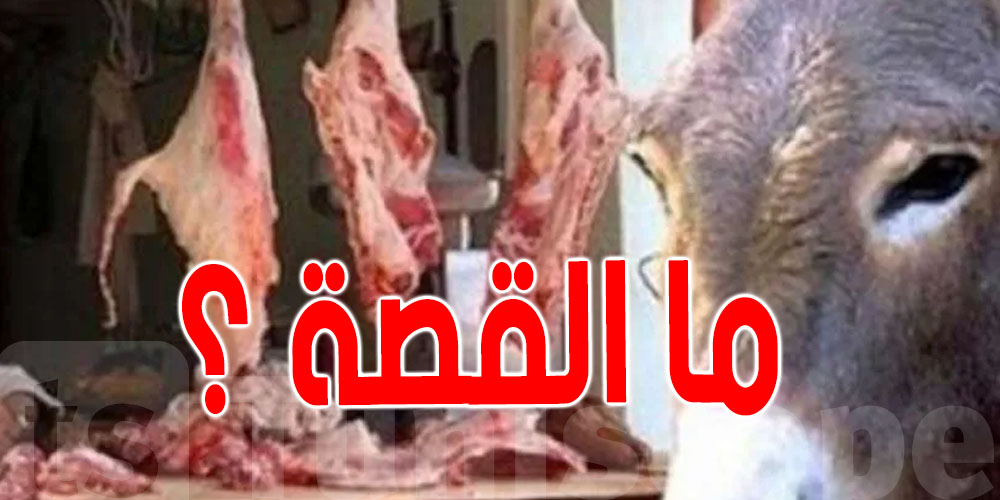 الغرفة الوطنية للقصابين : ''التونسي يأكل اليوم في لحم الخيول و الحمير''