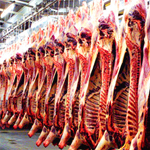 Tunisie: La moitié de la production nationale de viandes rouges provient des vaches laitières