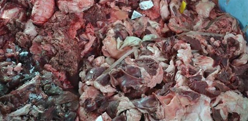 المهدية: حجز وإتلاف 100 كلغ من اللحوم الحمراء مصابة بداء السل
