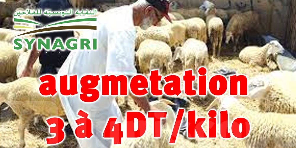 Syndicat Des agriculteurs : le prix du kilo de viande augmentera de 3 à 4 dinars