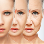دراسة: العلماء يكتشفون الجين المسؤول عن الشيخوخة