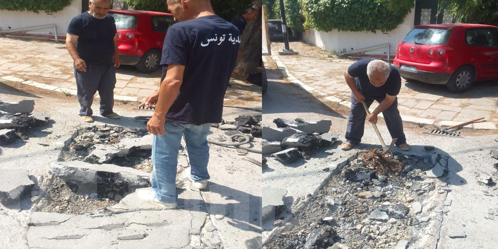 المنزه: تدخلات ميدانية لتحسين البنية التحتية وصيانة المساحات الخضراء