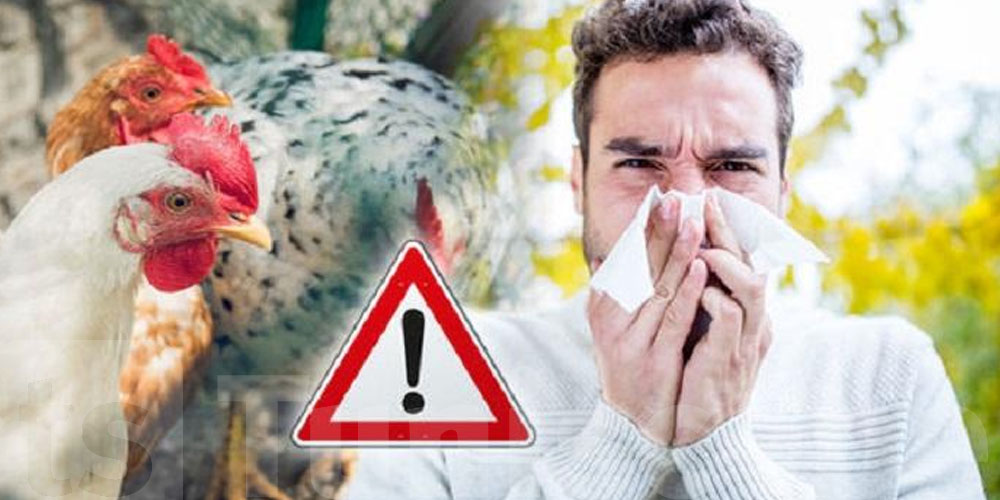 عاجل : اكتشاف سلالة شديدة العدوى من إنفلونزا الطيور