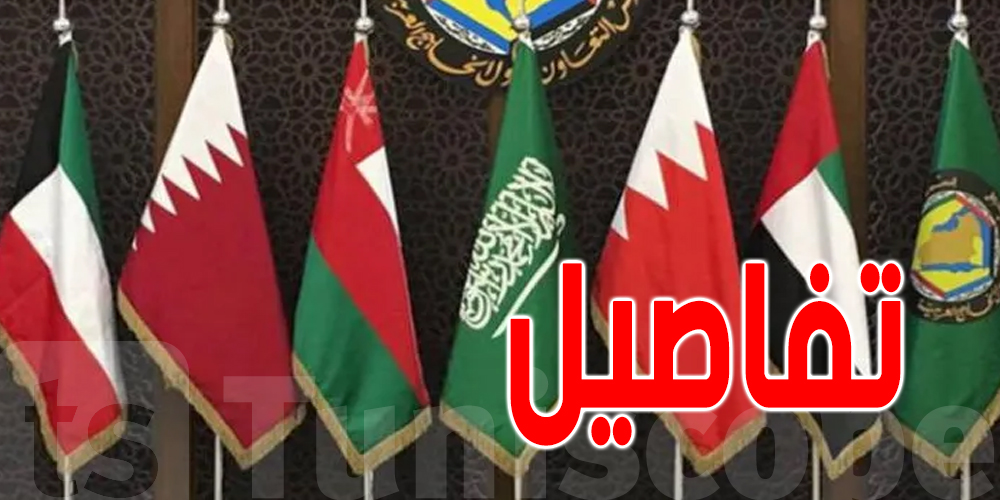 فيزا وحدة... تدخل بيها لـ6 دول! وقتاش تنطلق ''شنغن الخليج''؟