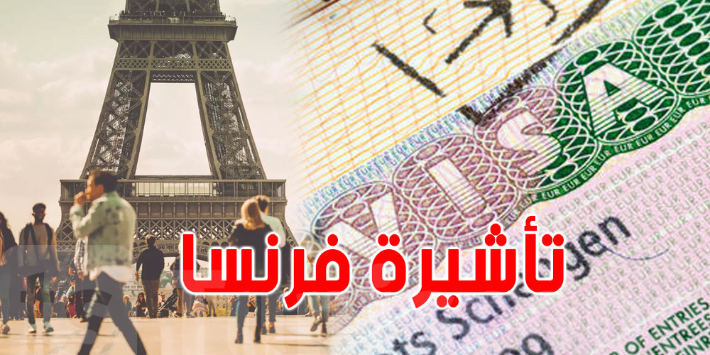 مواعيد ''الفيزا ''بالفيديو.. نظام لمحاربة سماسرة التأشيرات