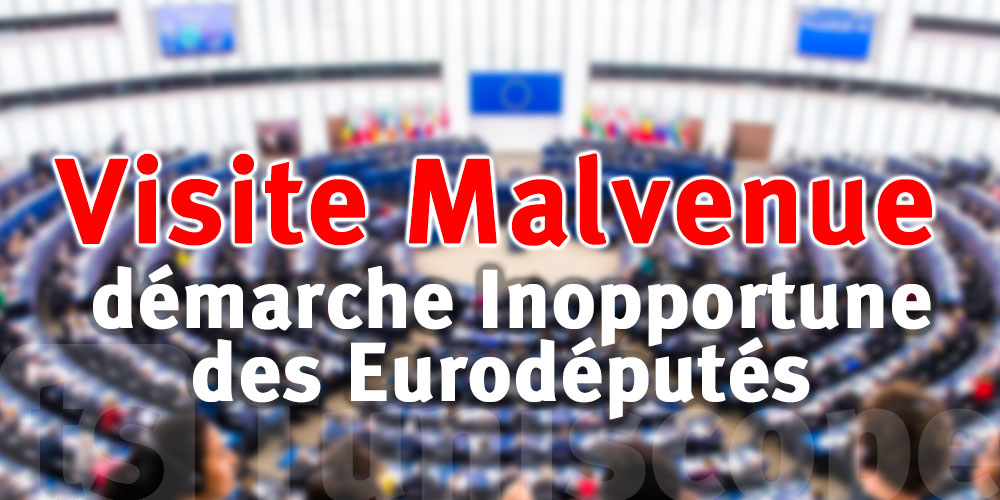 La Tunisie Justifiée dans son Refus : Dessous d’une visite Malavisée des Eurodéputés