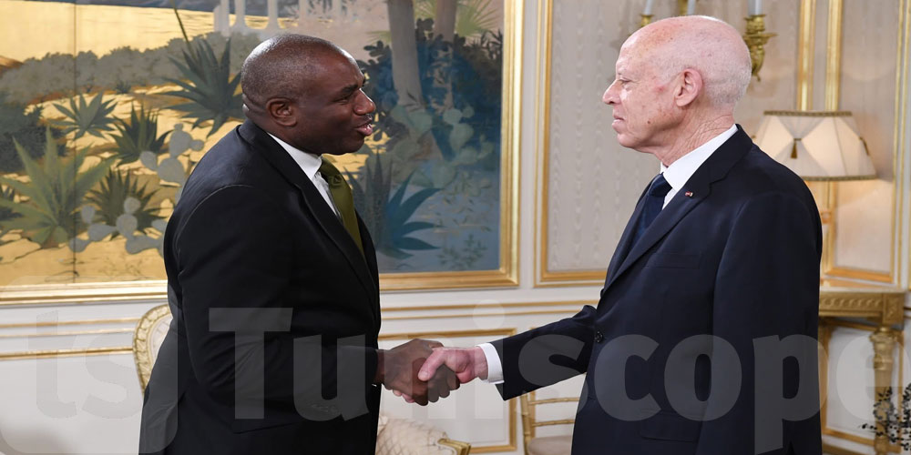 زيارة وزير الخارجية البريطاني لتونس: تأكيد على أهمية العلاقات الثنائية والتعاون في مجال الهجرة غير النظامية