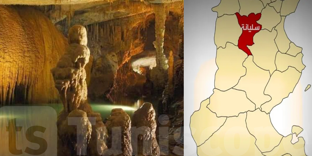 الخفافيش تمنع الزوار من دخول مغارة عين الذهب بجبل السرج