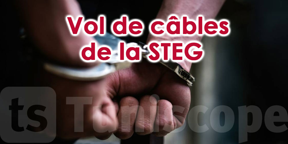 Accusé d'avoir volé des câbles de la STEG, un délégué placé en garde à vue