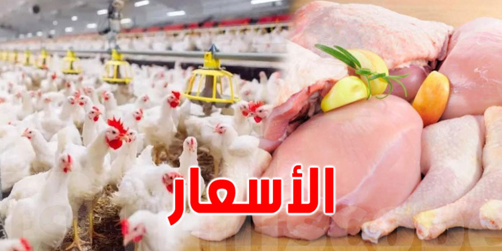 التونسيون و استعدادات رمضان : هكذا ستكون أسعار الدواجن والبيض