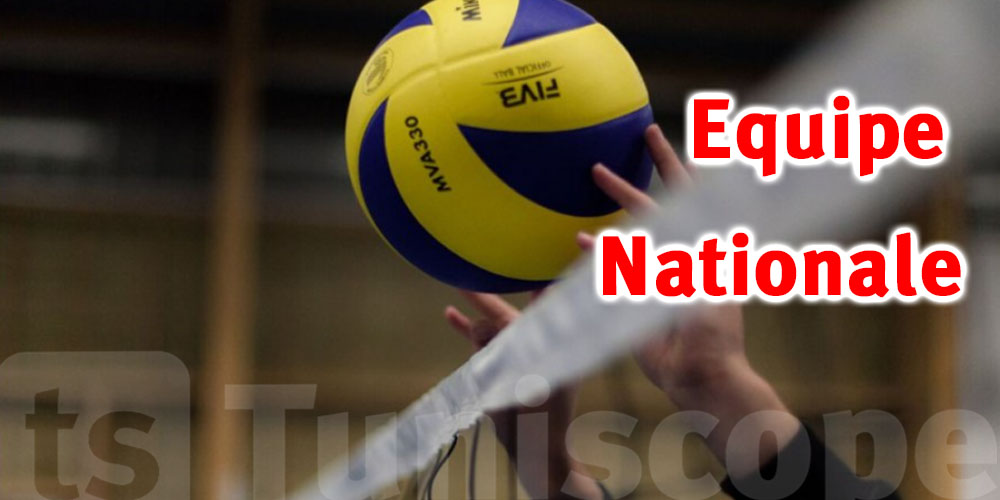 Volley-ball : Composition du nouveau staff technique de l’équipe nationale