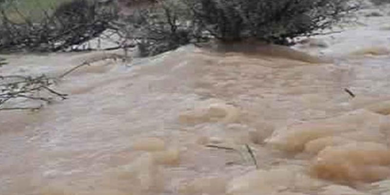 أمطار وثلوج: وزارة الفلاحة تأمر بالإيقاف الفوري لتحويل مياه السدود إلى سيدي سالم