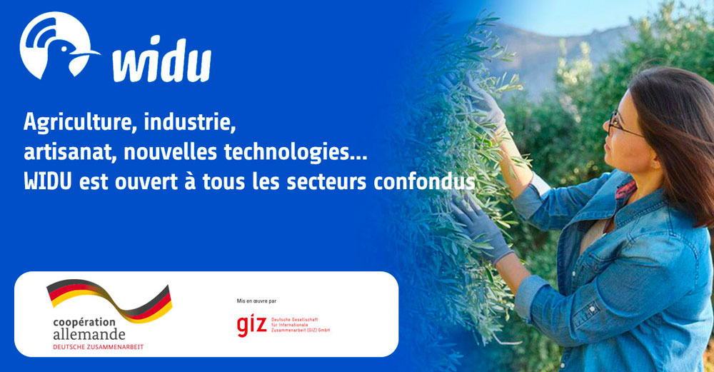                                         إنشاء الشركات الصغيرة : التونسيون المقيمون بالخارج في قلب حملة مشروع WIDU 