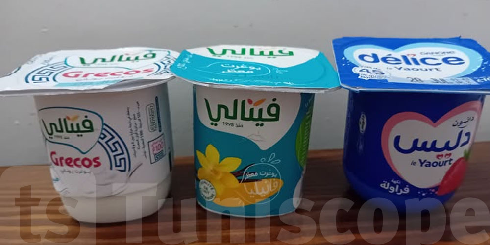 الياغورت اليوناني ولا المعطر؟.. شنوّة الفرق الحقيقي؟