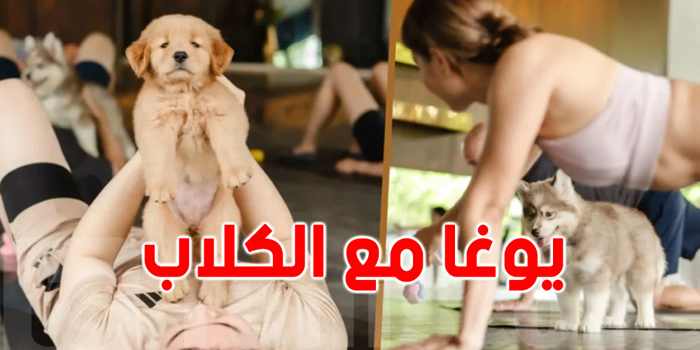 ضد ''ستراس الخدمة '': يوغا مع الكلاب بـ60 دولار