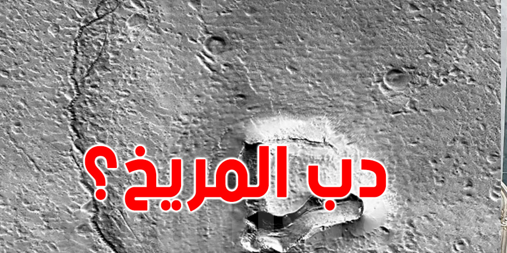 نشرتها 'ناسا ': ما قصة صورة راس الدب على سطج المريخ؟