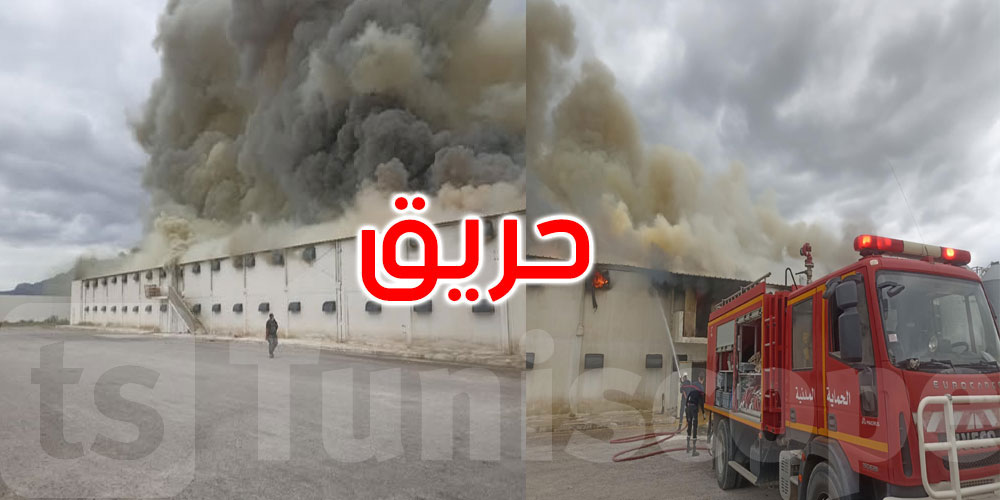 زغوان: النيران تشتعل منذ ثلاث ساعات بمصنع’فريب’... والخطر يهدد مؤسسات مجاورة