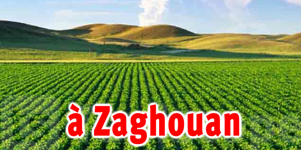 Zaghouan: Restitution d’une terre agricole domaniale d'une superficie de 430 ha