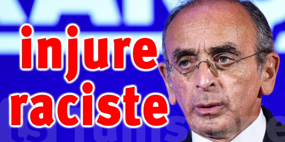 France : Eric Zemmour condamné à une amende pour injure raciste