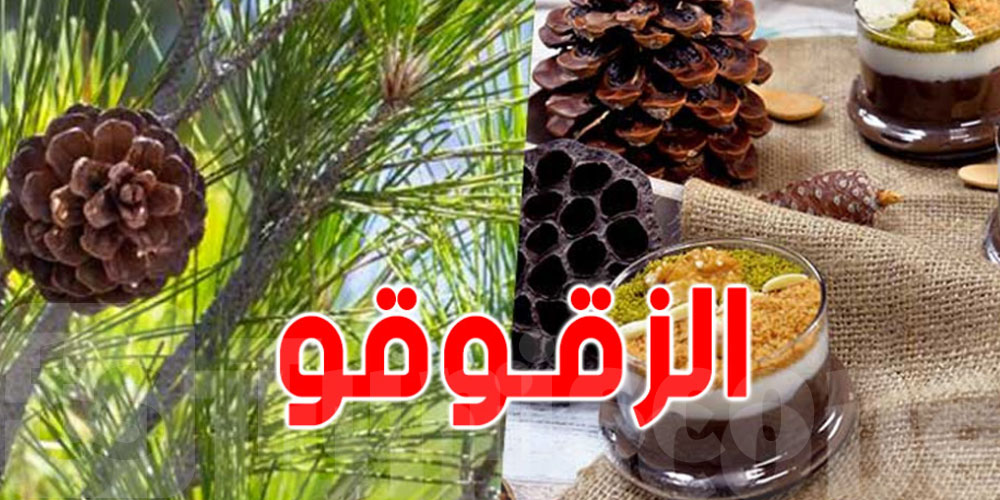 سليانة الأولى وطنيًا في إنتاج الزقوقو بـ132 ألف كغ خلال موسم 2025